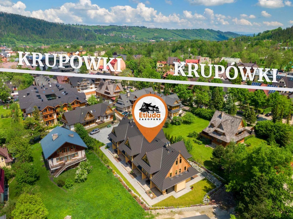 Вилла Etiuda Закопане Экстерьер фото